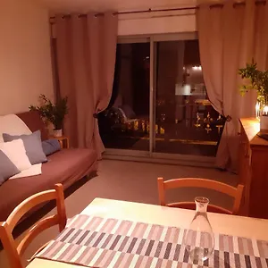 Appartement Front De Neige Wifi Résidence Le Tyrol 4 Personnes